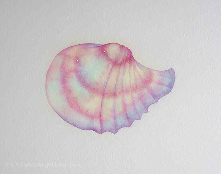 创意手绘七彩海螺贝壳桌面壁纸