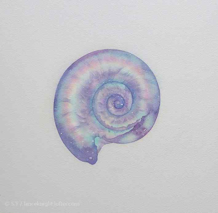 创意手绘紫色贝壳桌面壁纸