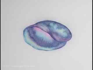 创意手绘紫色海螺贝壳桌面壁纸