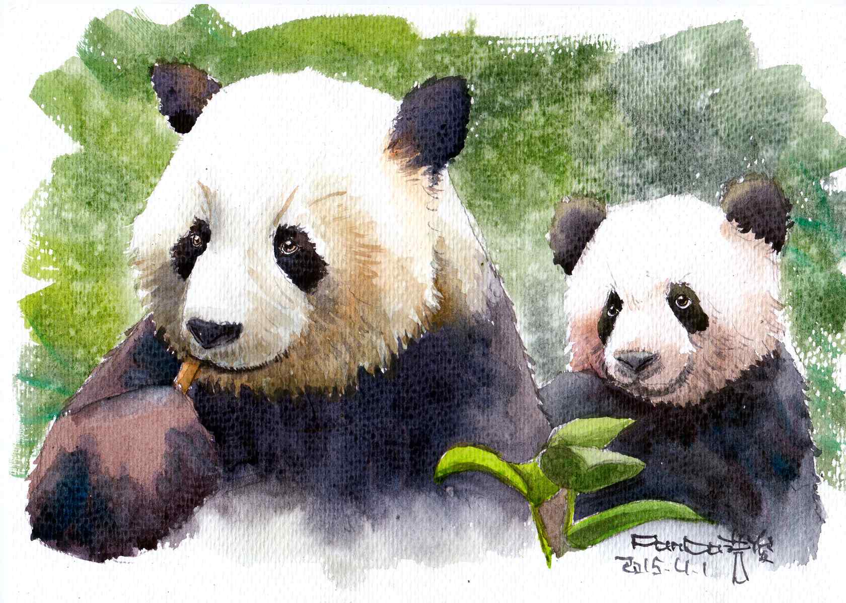 两只可爱大熊猫吃竹子桌面壁纸