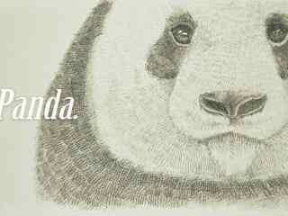 手绘彩铅简约熊猫