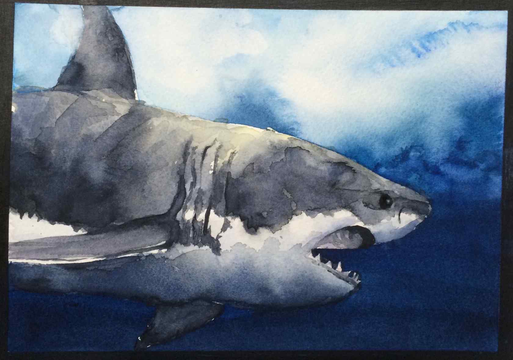 张开血膨大口的鲨鱼手绘壁纸