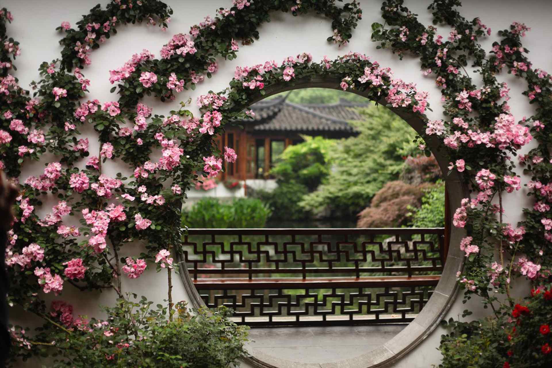 唯美的中式庭院花墙桌面壁纸