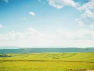 美丽的麦田与天空风景桌面壁纸
