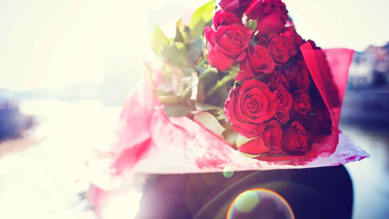 鲜艳欲滴的红色玫瑰花图片高清桌面壁纸