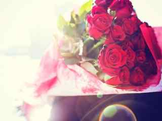 鲜艳欲滴的红色玫瑰花图片高清桌面壁纸