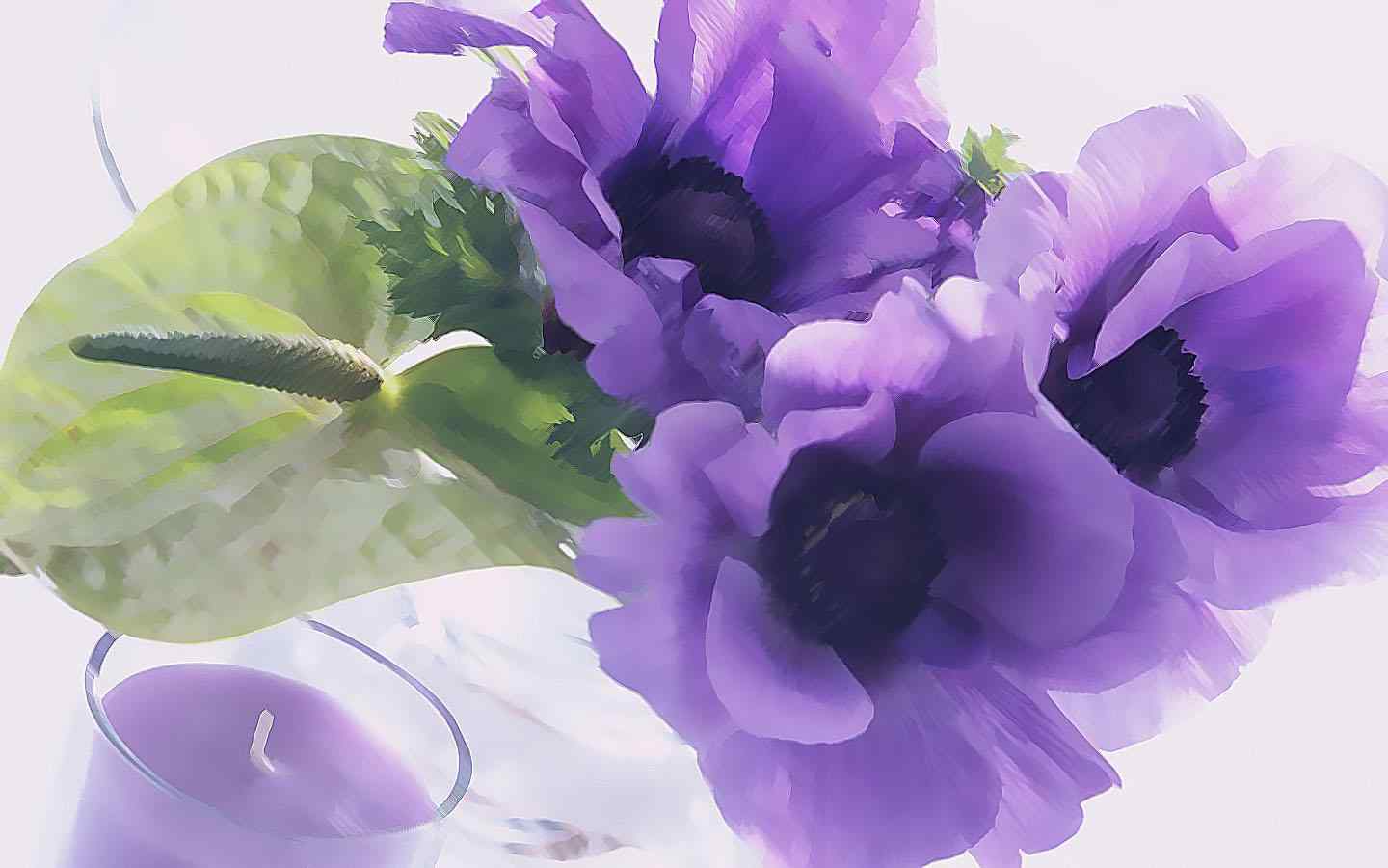 优雅的紫罗兰花桌面壁纸