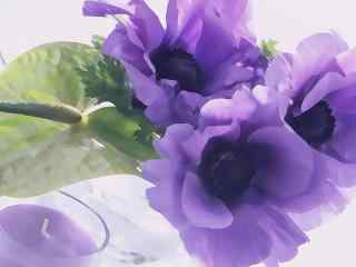 优雅的紫罗兰花桌