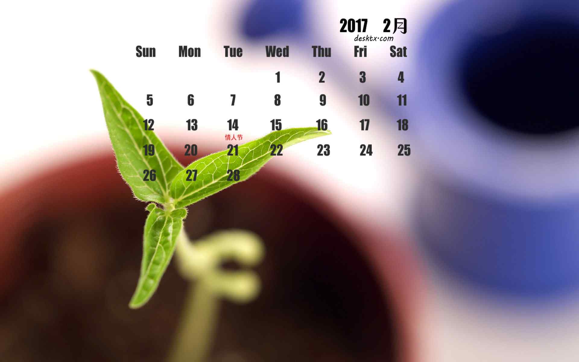2017年2月日历可爱嫩芽植物图片