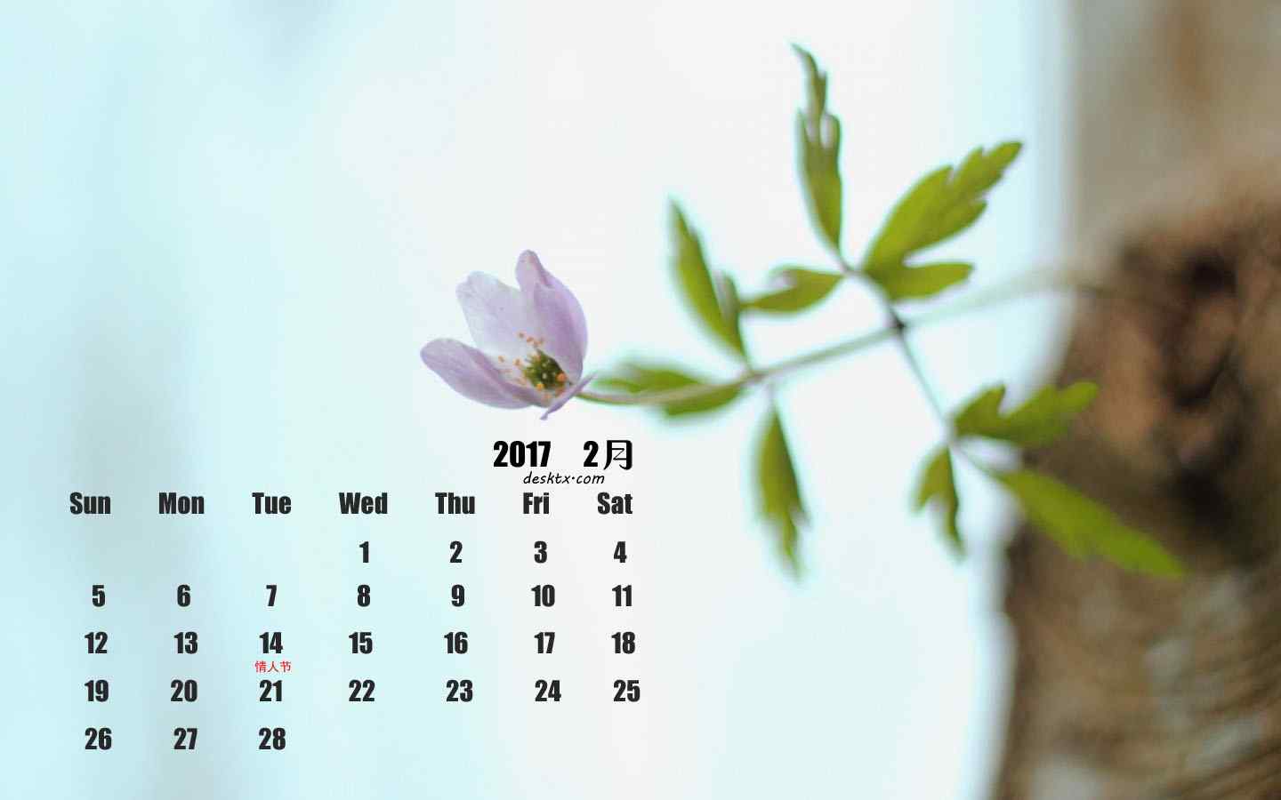 2017年2月日历小清新植物壁纸