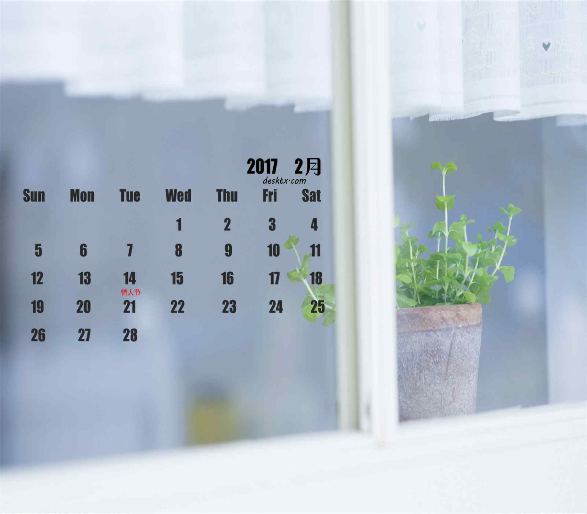 2017年2月日历窗边的植物图片壁纸