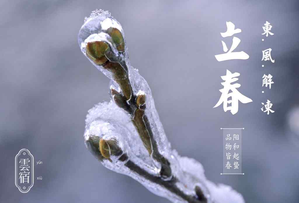 2017年立春节气之被冰封的梅花花苞