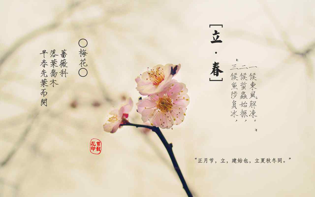 立春节气壁纸特制古诗句与梅花图片