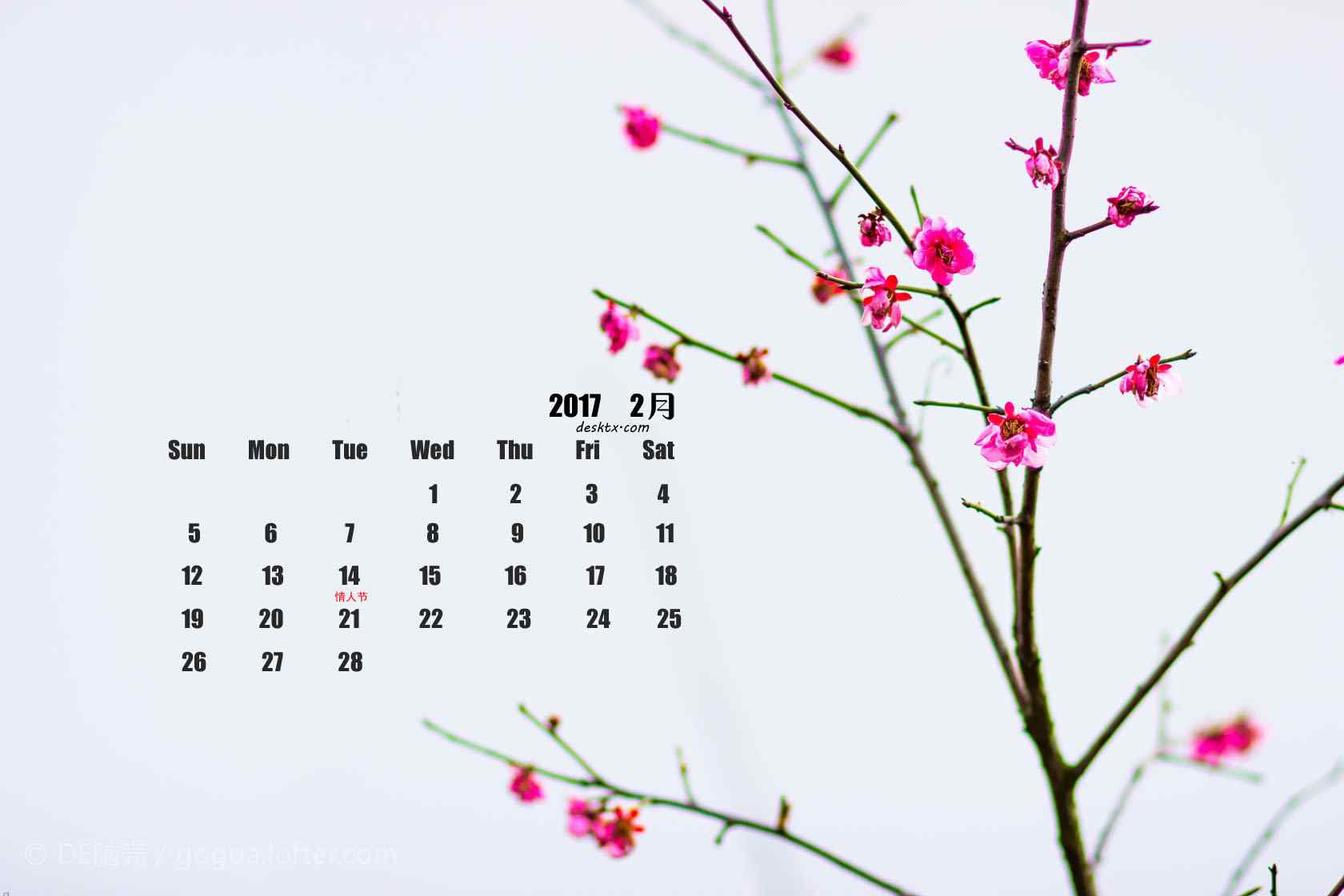 2017年2月日历壁纸之唯美的梅花