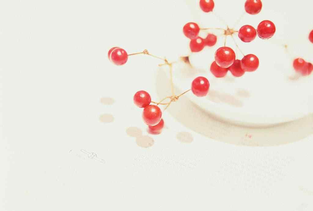 小清新白色简约背景的樱桃摄影图片桌面壁纸