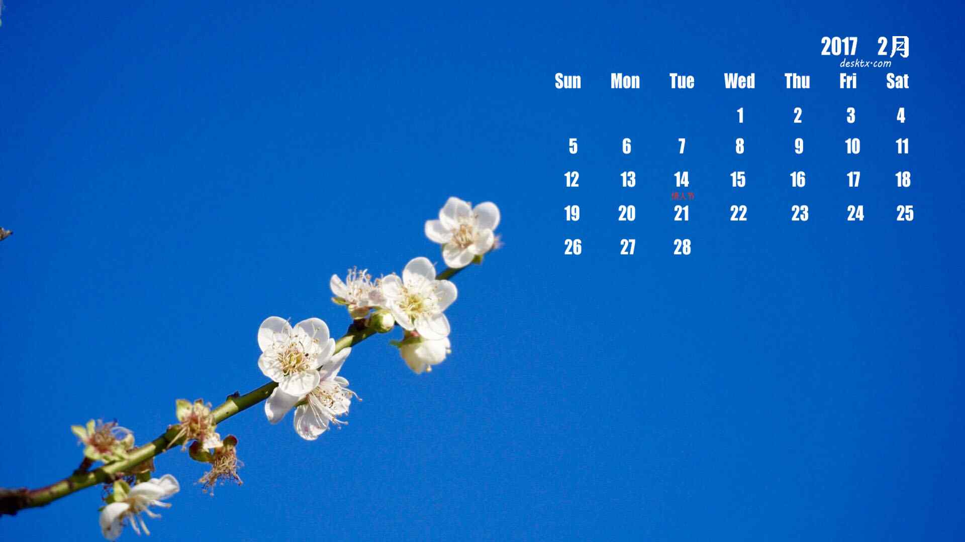 2017年2月日历之一枝梅花图片