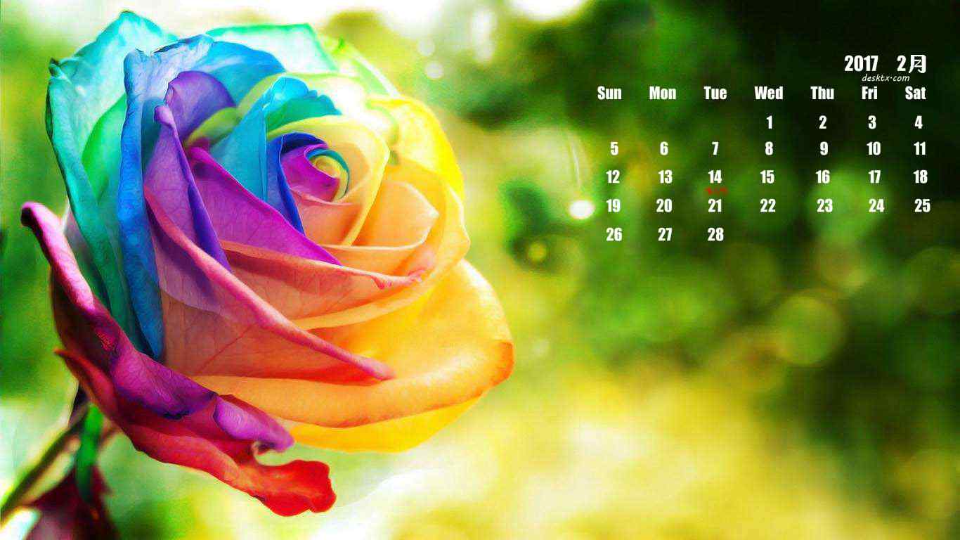 2017年2月日历之一所彩色的玫瑰花