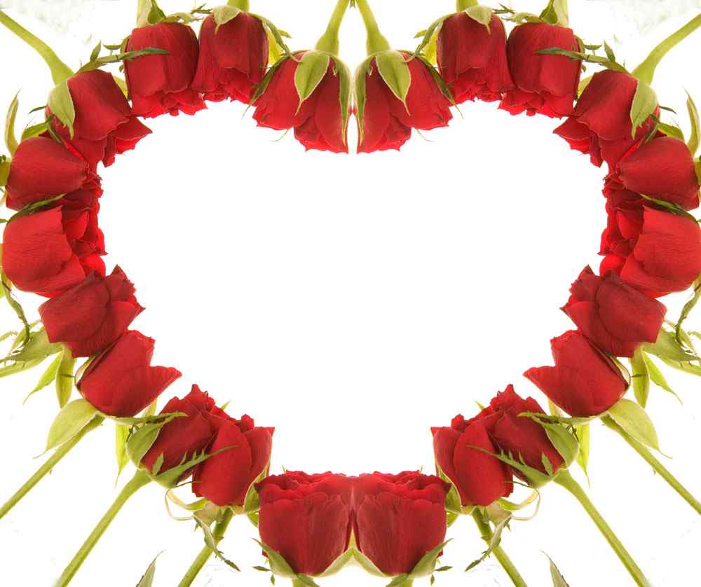 情人节爱心红玫瑰图片壁纸
