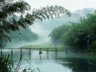 唯美远山竹林风景图片