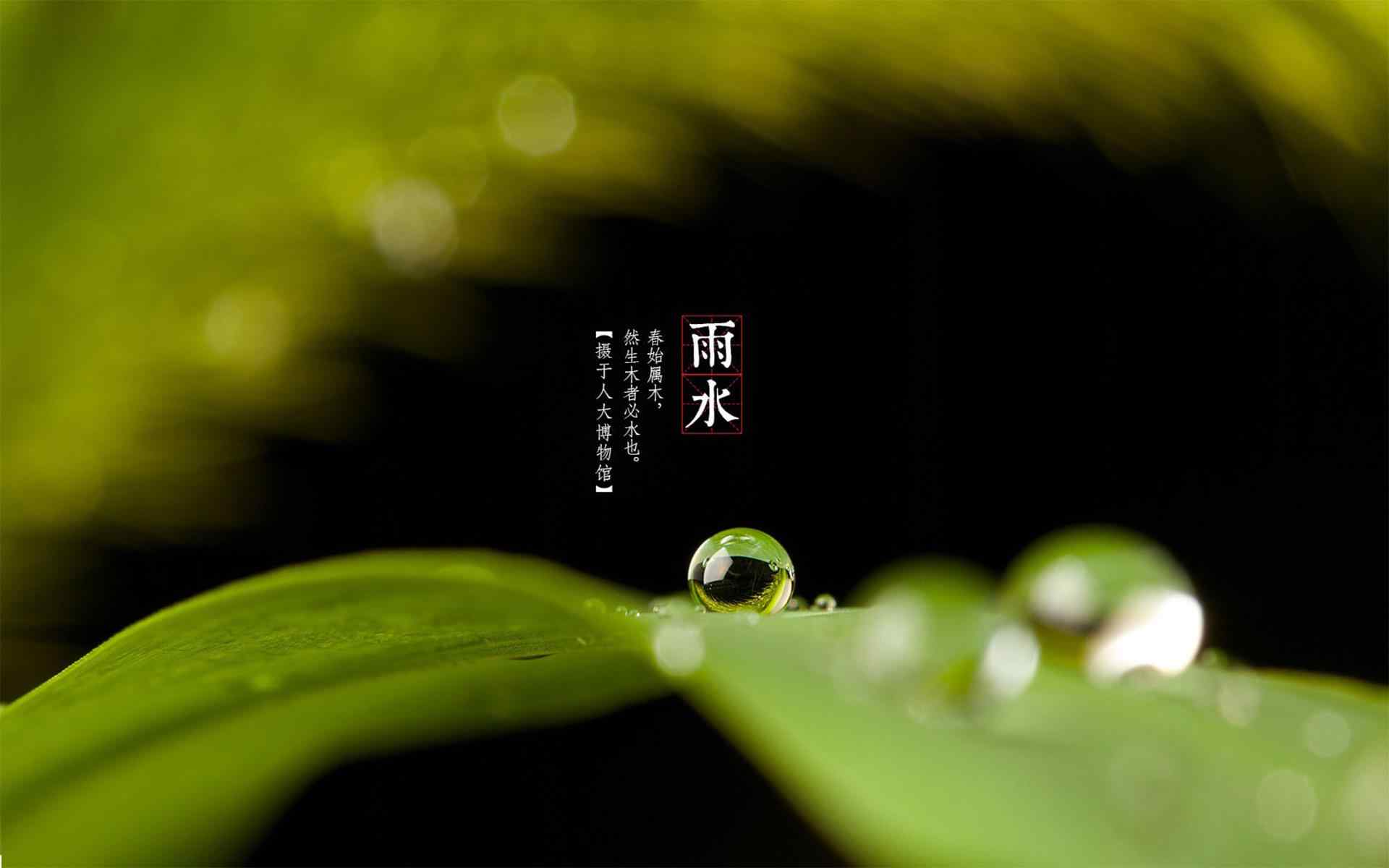 雨水节气-唯美的小水珠壁纸图片