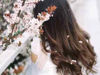 樱花散落在美女头发手机壁纸