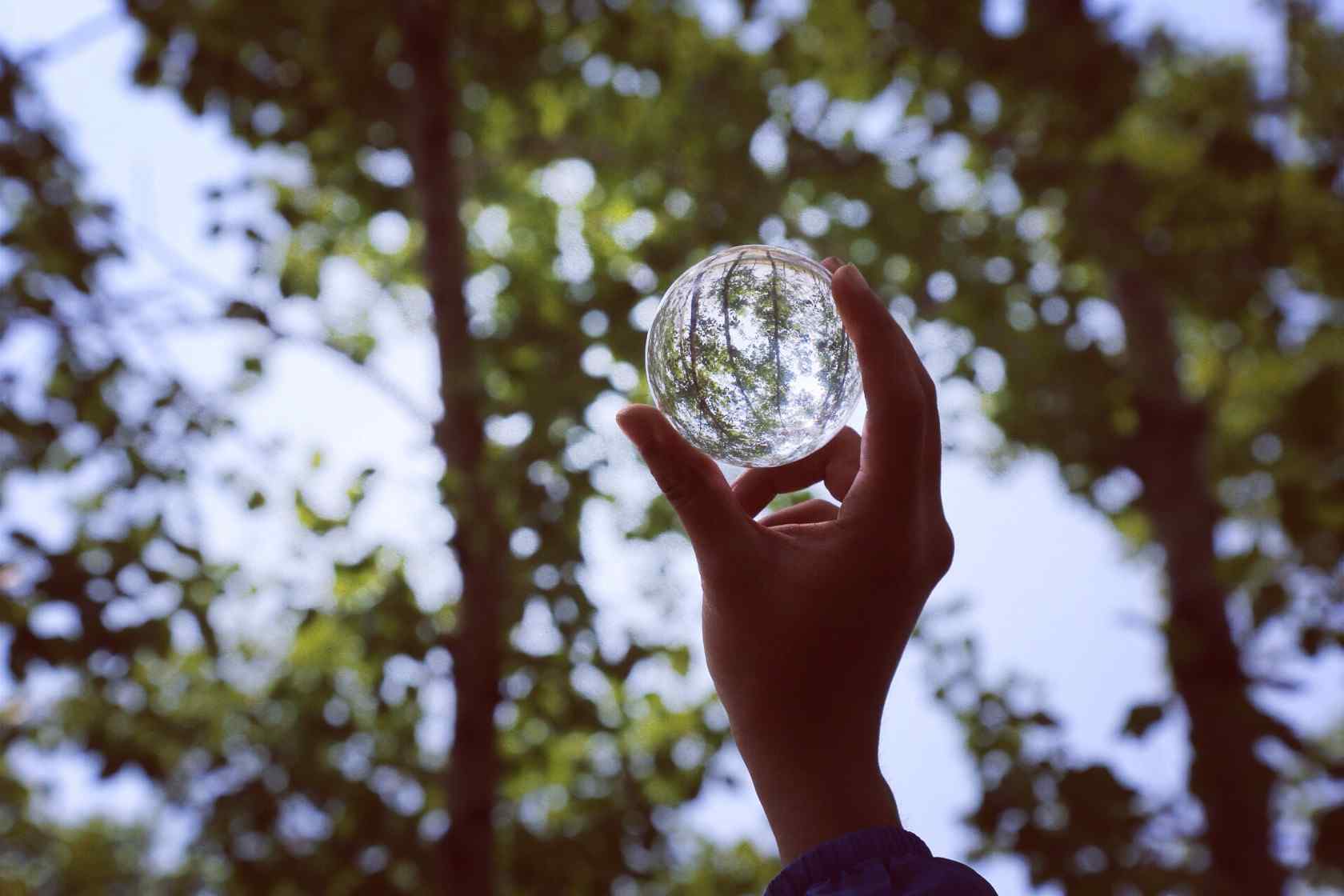 植树节—玻璃球中小树林桌面壁纸