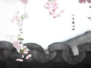 春日盛开的浪漫海棠花桌面壁纸