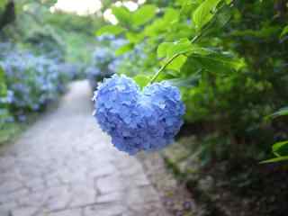 创意爱心蓝色绣花