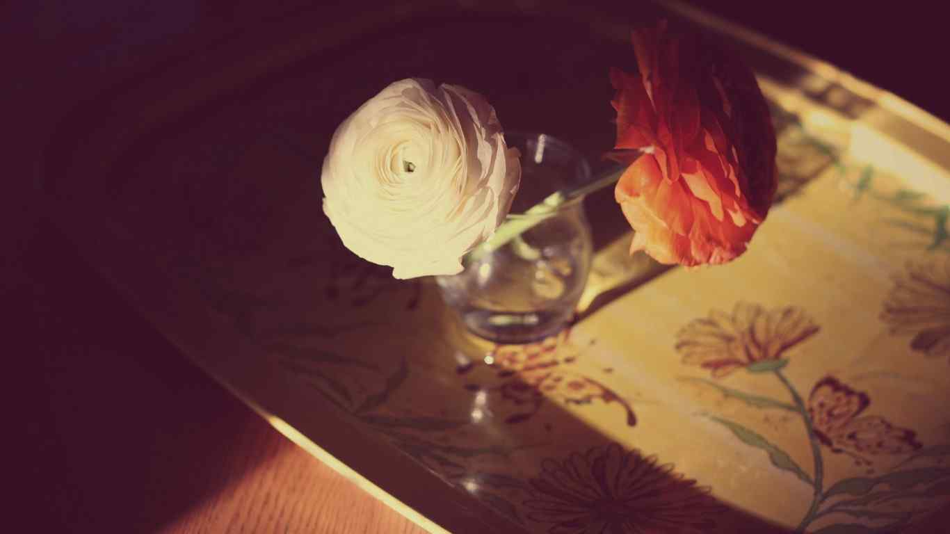 玫瑰典雅壁纸桌面