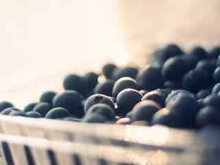水果蓝莓创意摄影桌面