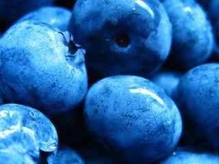 水果蓝莓创意摄影壁纸