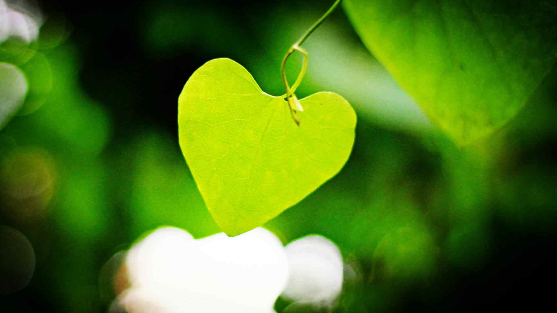 绿色爱心叶子高清桌面壁纸