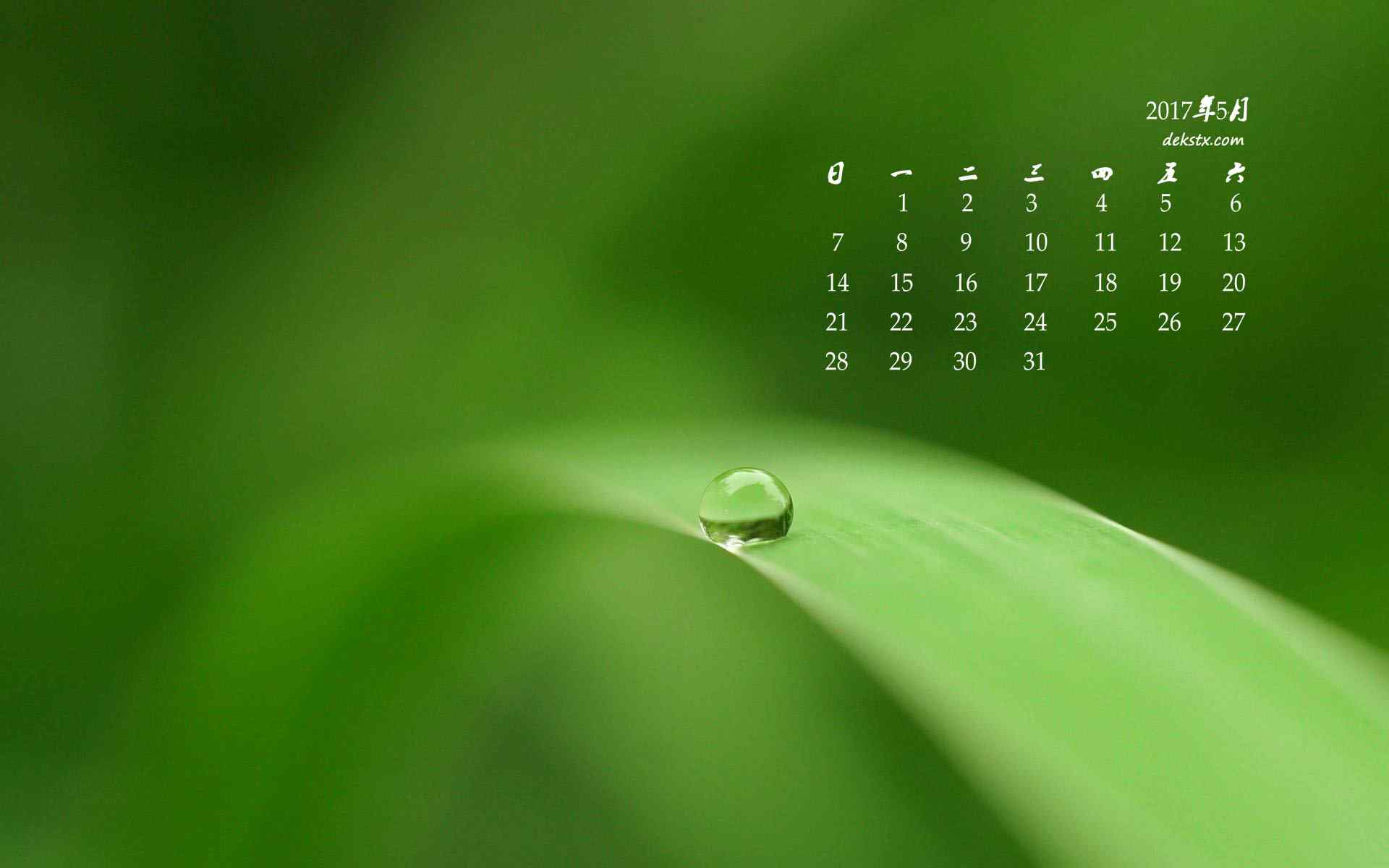 2017年5月绿色植物护眼高清日历壁纸