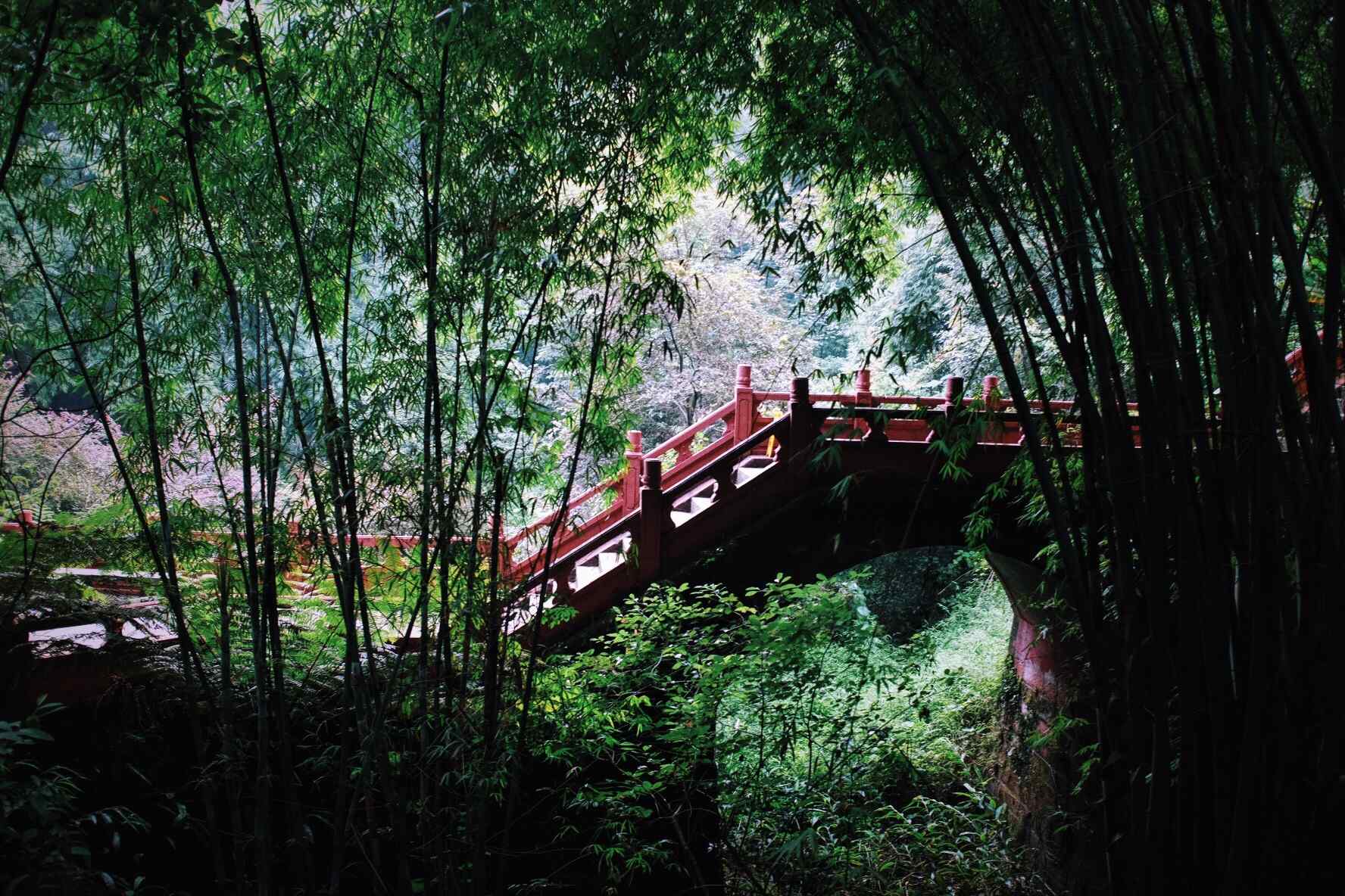 竹林中的小桥流水桌面壁纸