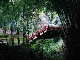 竹林中的小桥流水桌面壁纸