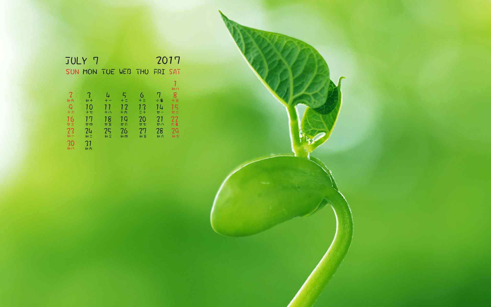 2017年7月日历绿色清新植物壁纸