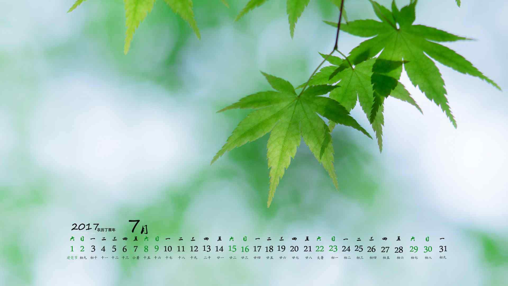 2017年7月日历植物护眼壁纸