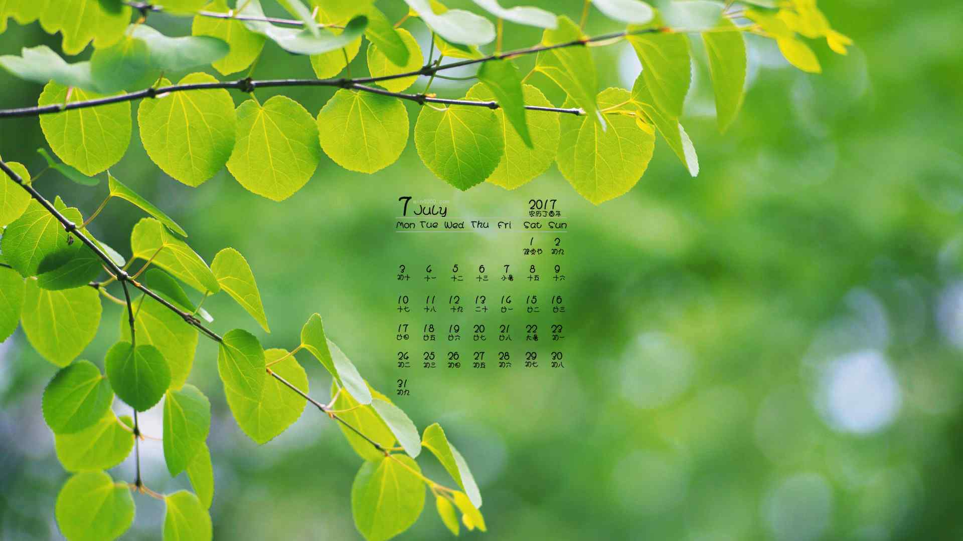 2017年7月日历绿色植物护眼壁纸