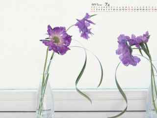 2017年7月日历小清新花朵桌面壁纸
