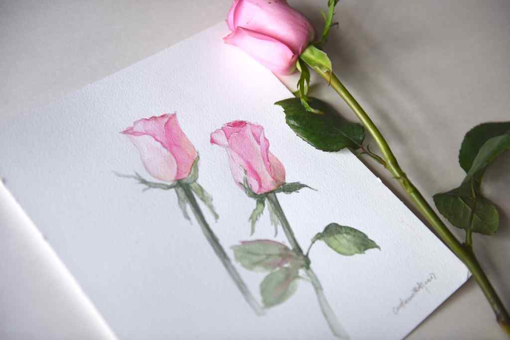 唯美好看的粉色玫瑰花桌面壁纸