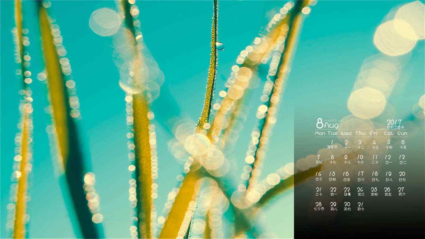 2017年8月日历小清新植物微距摄影壁纸