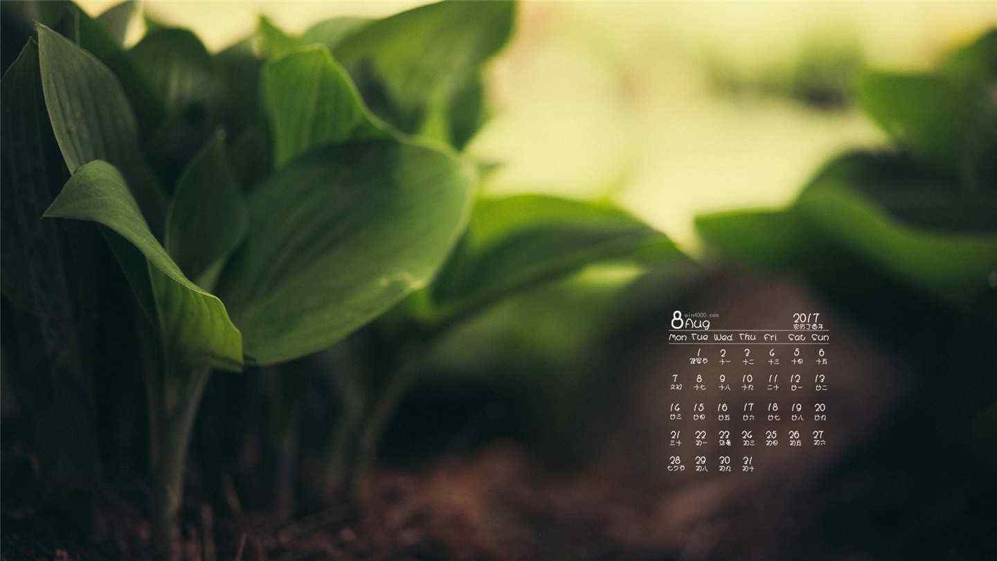 2017年8月日历美丽的植物桌面壁纸
