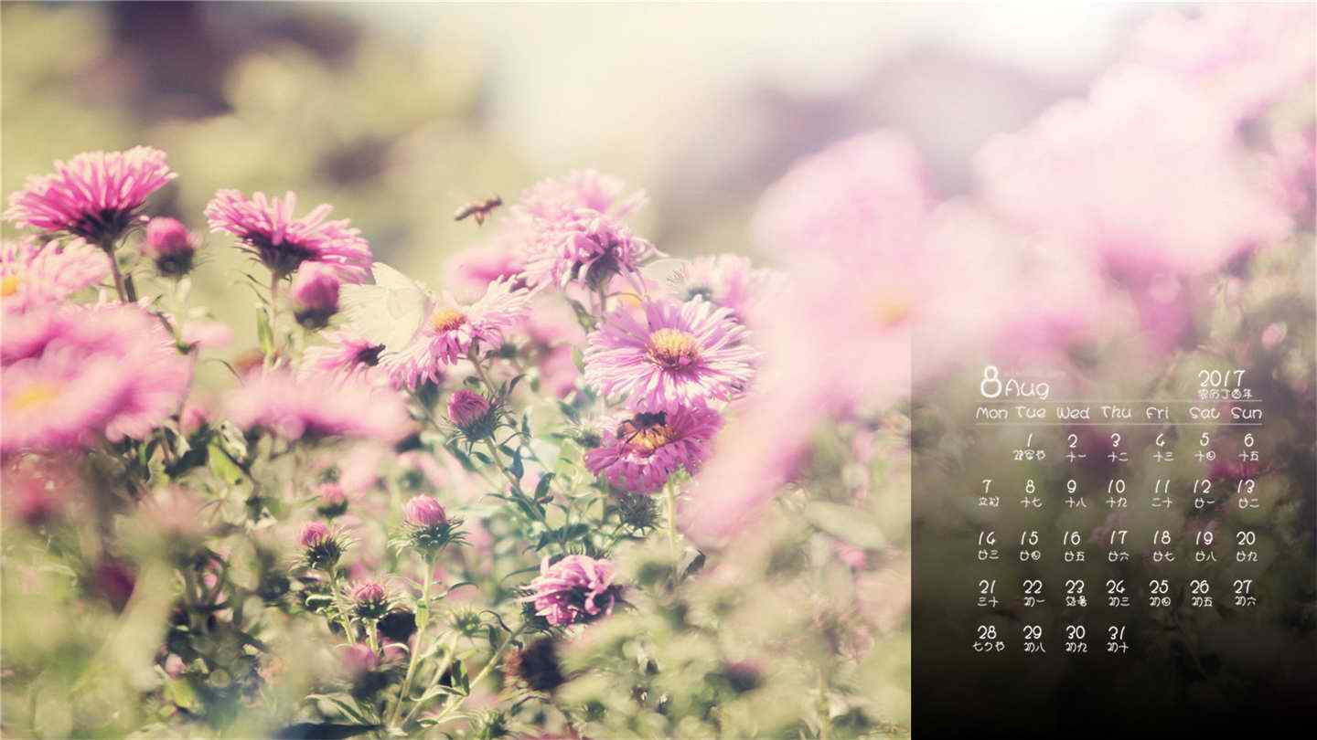 2017年8月日历美丽的野花桌面壁纸