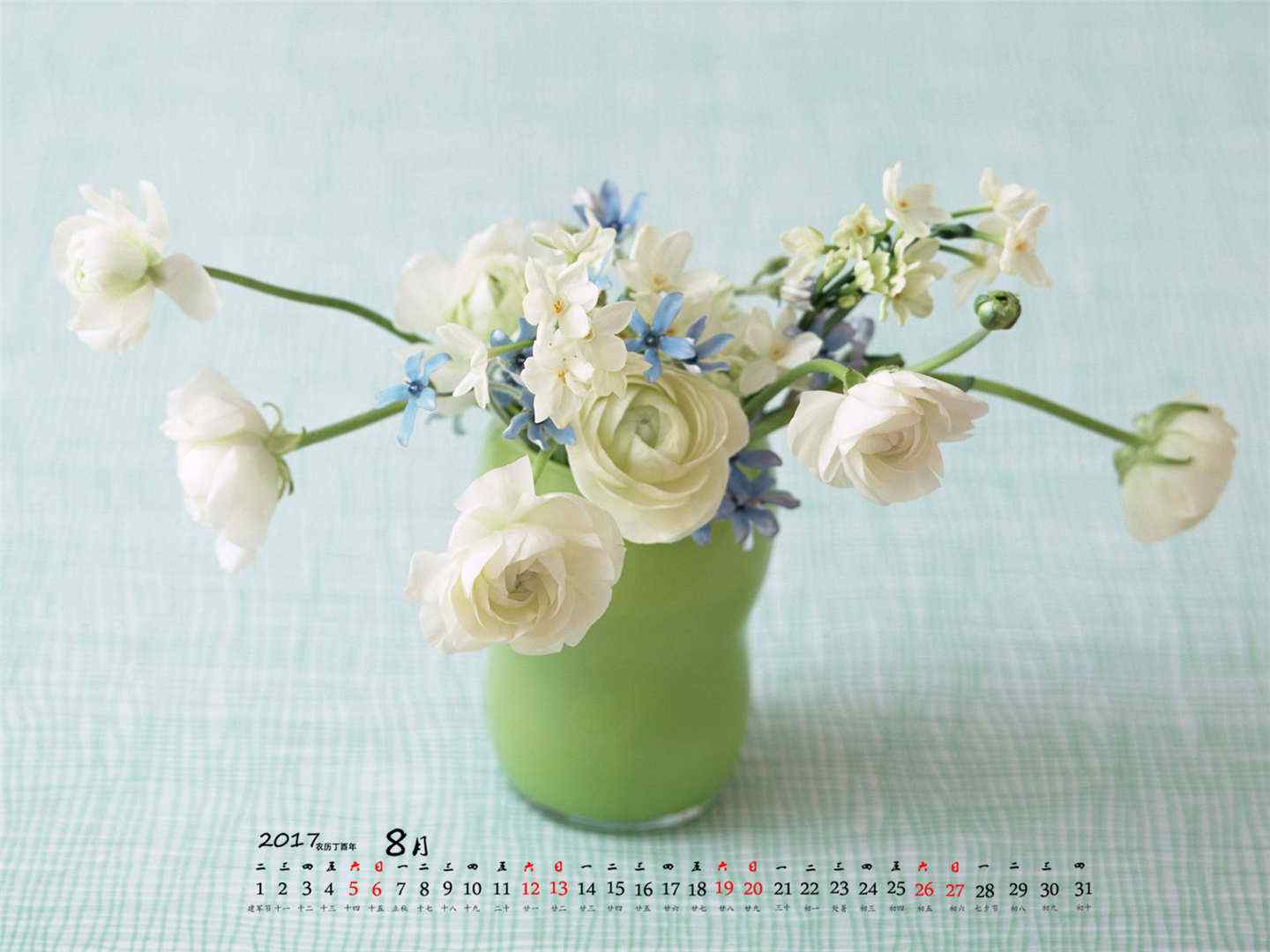 2017年8月日历可爱小盆栽植物桌面壁纸