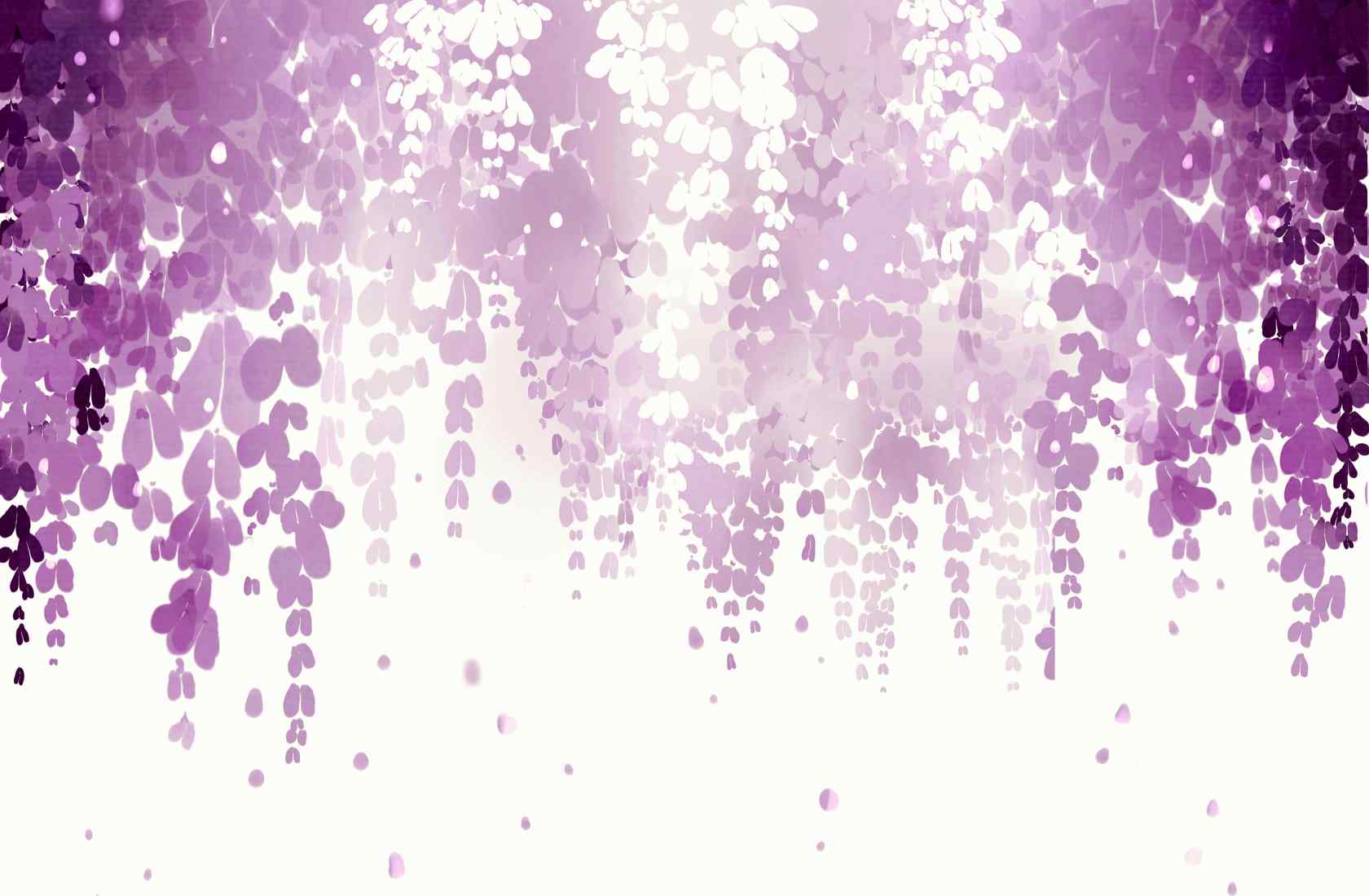 唯美好看手绘紫藤萝瀑布桌面壁纸