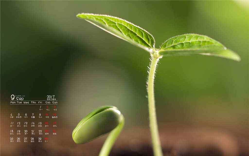 2017年9月日历绿色清新植物桌面壁纸