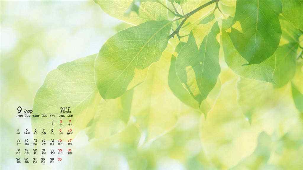 2017年9月日历小清新绿色植物护眼壁纸