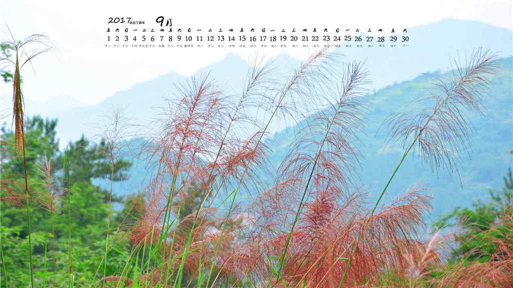 2017年9月日历美丽的植物桌面壁纸