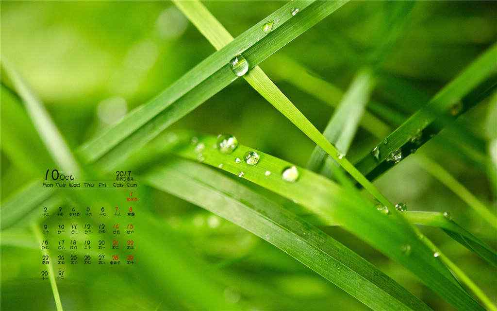 2017年10月日历清新植物护眼壁纸 -桌面天下(