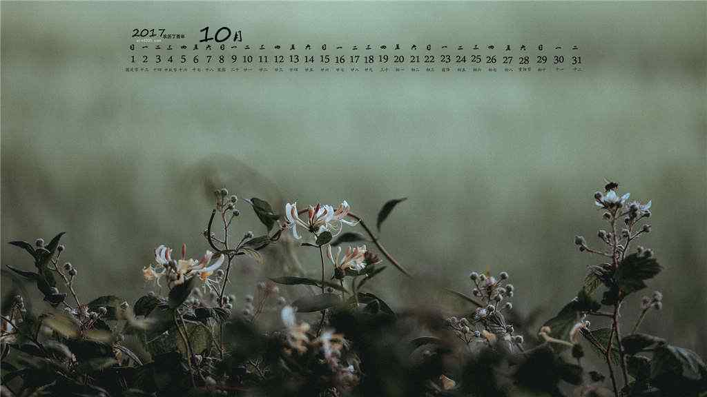2017年10月日历唯美的植物桌面壁纸